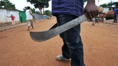 macheteafp-seo