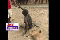 Ayigbe Town chief arrested over the killing of man alleged to have stolen his pregnant goat