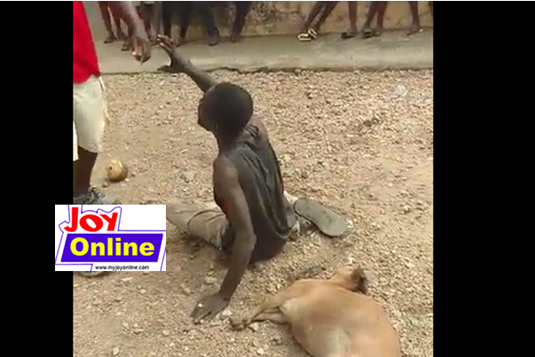 Ayigbe Town chief arrested over the killing of man alleged to have stolen his pregnant goat