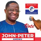 John Peter Amewu