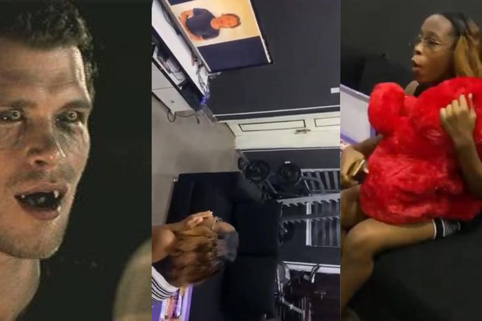 Boyfriend surprises girlfriend with special message from Niklaus (VIDEO)