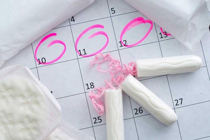 ___9196083___2018___12___13___14___menstrual-cycle