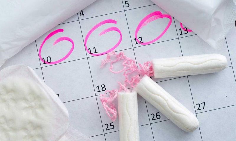 ___9196083___2018___12___13___14___menstrual-cycle