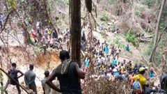 Atewa forest