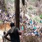Atewa forest
