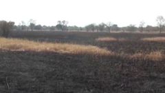 413-acre rice farm belonging to Tamale NDC chairman set ablaze
