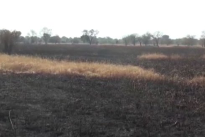 413-acre rice farm belonging to Tamale NDC chairman set ablaze