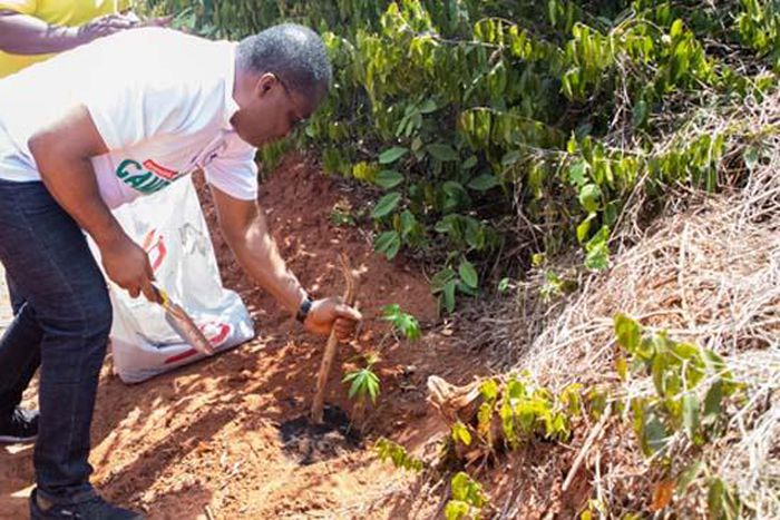 Church of Pentecost to plant one million trees nationwide for environmental preservation