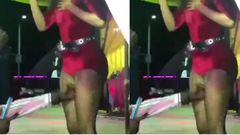 Musician kicks fan 2 times for touching her private part
