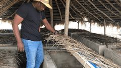 John Dumelo flexes his knowledge in agriculture by defining ‘fish farming’