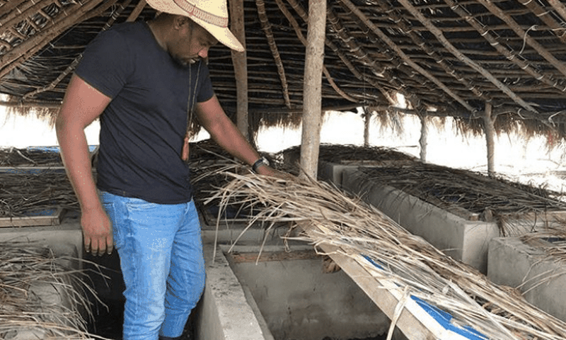 John Dumelo flexes his knowledge in agriculture by defining ‘fish farming’