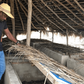 John Dumelo flexes his knowledge in agriculture by defining ‘fish farming’