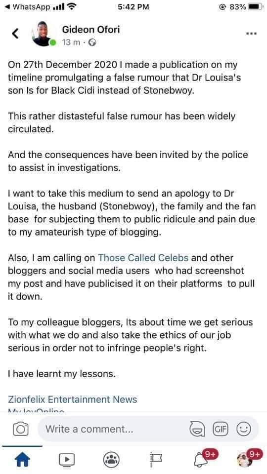 Blogger appologizes for insinuating that Blakk Cedi may have fathered Stonebwoy and Dr Louisa's son