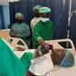 Election 2020: GIJ student Journalist who got shot undergoes successful surgery