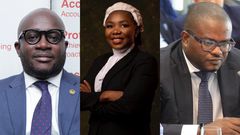Deputy ministers-designate