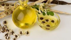 Moringa oil