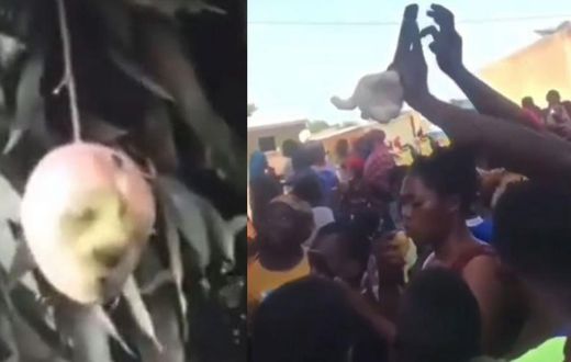 Curious residents jostle to catch a glimpse of mysterious mango with human face
