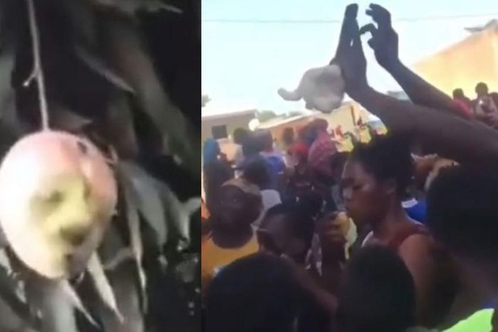Curious residents jostle to catch a glimpse of mysterious mango with human face