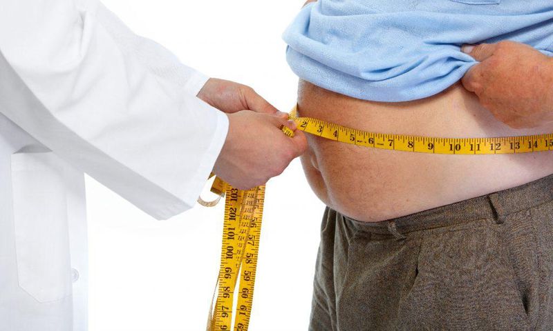 Company employs “fat people”, rents them to other companies and individuals