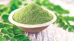 Moringa Powder