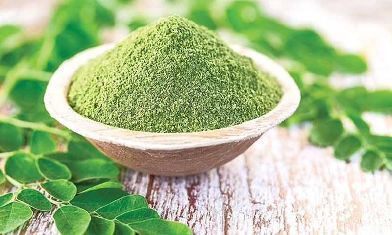 Moringa Powder