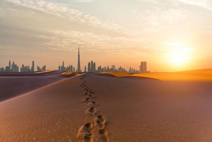 Marriott International, Inc.