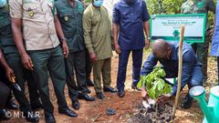 Green Ghana project