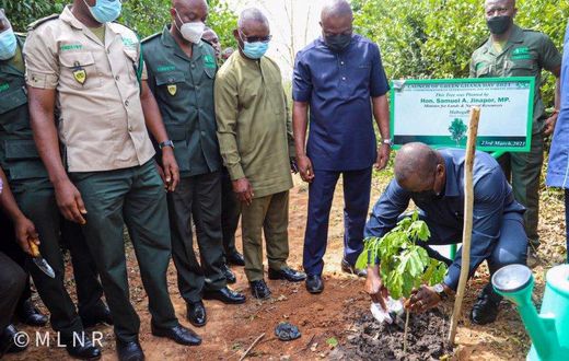Green Ghana project