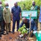 Green Ghana project