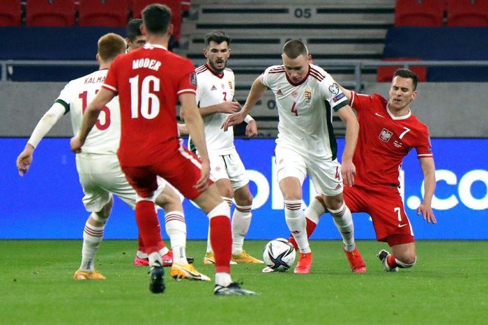Attila Szalai (2nd R) will have his work cut out as Hungary come up against Portugal, France and Germany in Group F