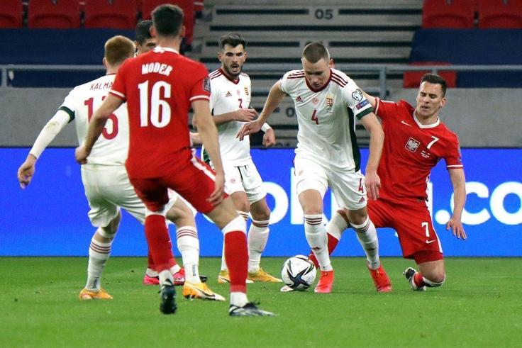 Attila Szalai (2nd R) will have his work cut out as Hungary come up against Portugal, France and Germany in Group F