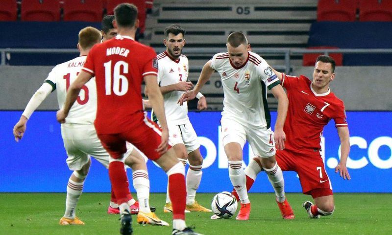 Attila Szalai (2nd R) will have his work cut out as Hungary come up against Portugal, France and Germany in Group F