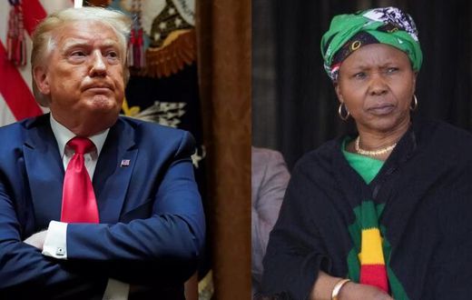 Zimbabwe’s Defence minister battles covid-19 after saying it was God’s wrath on Trump and the West