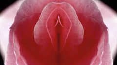 clitoris-stimulation