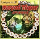 The Spin Just Got Real: Spinners Go Online, Only on betPawa!