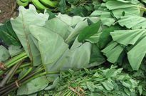 World Kidney Day: 5 Ghanaian foods that can keep your kidney healthy