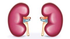 There is no free kidney dialysis anywhere - Health Minister