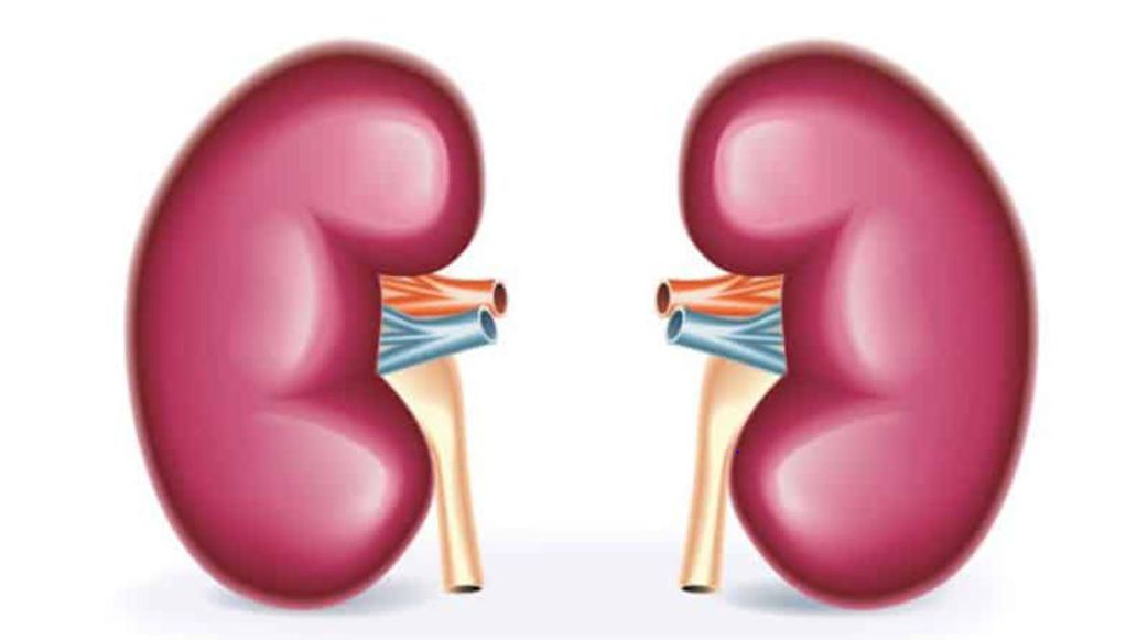 There is no free kidney dialysis anywhere - Health Minister