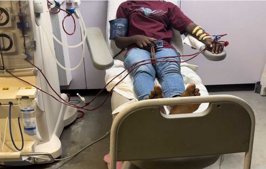 There is no free kidney dialysis anywhere - Health Minister