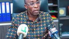 Dollar gift saga: Victoria Hammah and 4 key figures who have defended Sammy Gyamfi