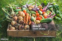 10 'dangerous' foods pregnant women should never eat