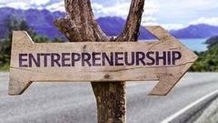 Entrepreneurs are also a source of relief to the government