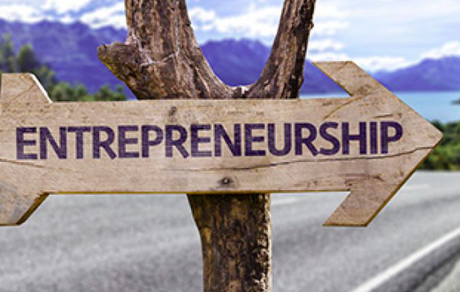Entrepreneurs are also a source of relief to the government