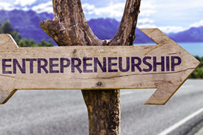Entrepreneurs are also a source of relief to the government