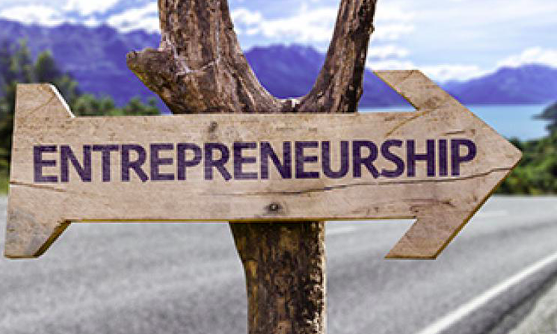 Entrepreneurs are also a source of relief to the government