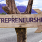 Entrepreneurs are also a source of relief to the government