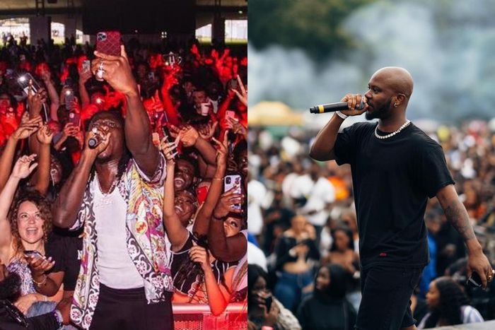 Stonebwoy, King Promise cause stir at Yam Festival in the U.K.