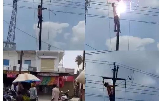 45-year old man electrocuted to death while saving bird from high-tension wire (video)