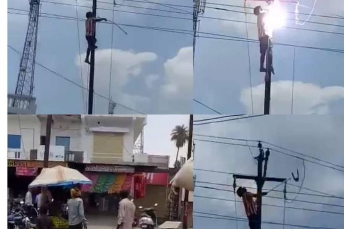 45-year old man electrocuted to death while saving bird from high-tension wire (video)