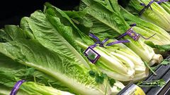 FILE - This Nov. 20, 2018 file photo shows Romaine Lettuce in Simi Valley, Calif.  U.S. health officials are telling people to avoid romaine lettuce grown in Salinas, Calif., Friday, Nov. 22, 2019,  as they investigate a food poisoning outbreak. They a...
